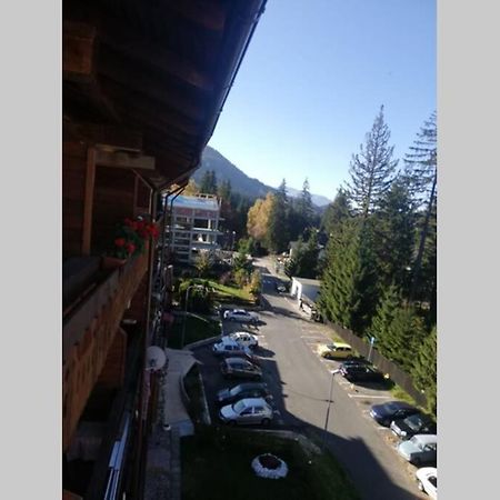 Large Vacation Apartment In Poiana Braşov Dış mekan fotoğraf