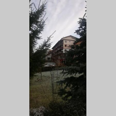Large Vacation Apartment In Poiana Braşov Dış mekan fotoğraf