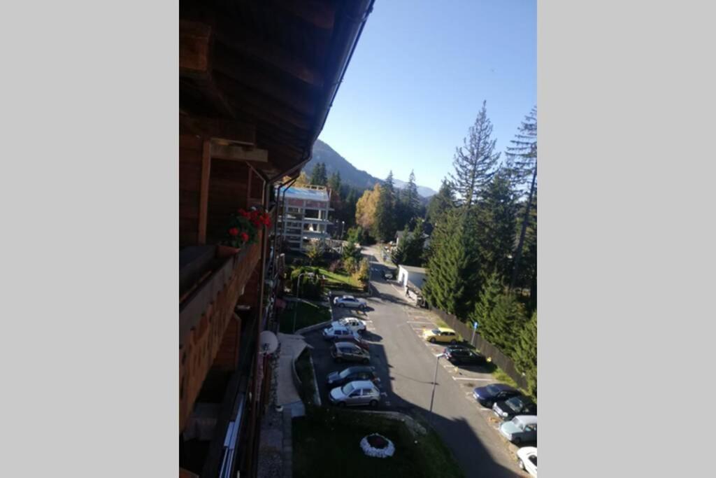 Large Vacation Apartment In Poiana Braşov Dış mekan fotoğraf