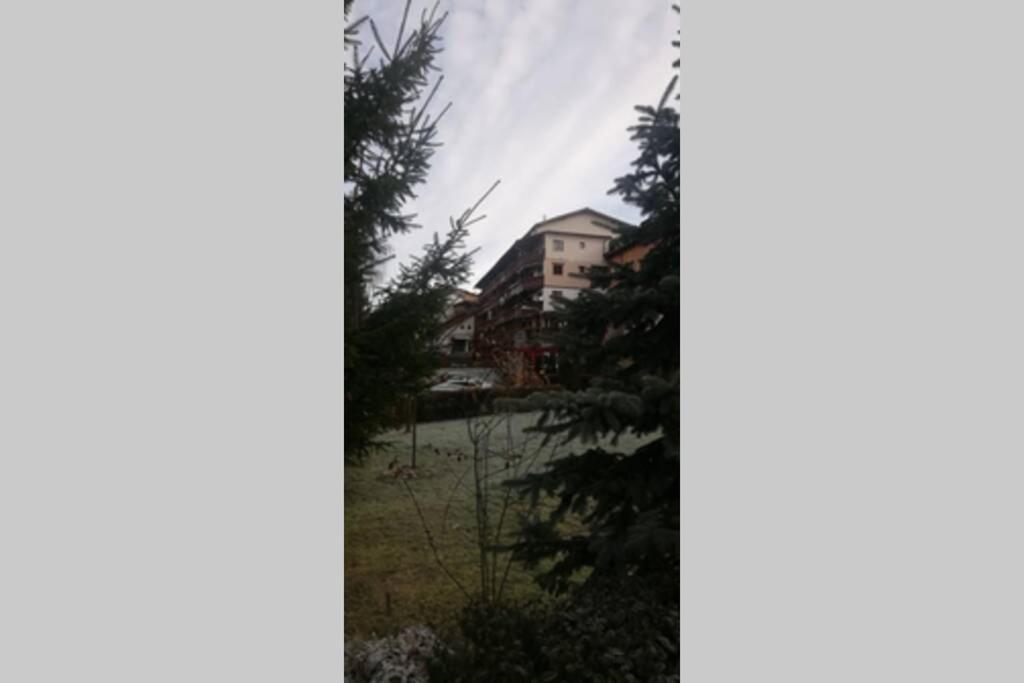Large Vacation Apartment In Poiana Braşov Dış mekan fotoğraf