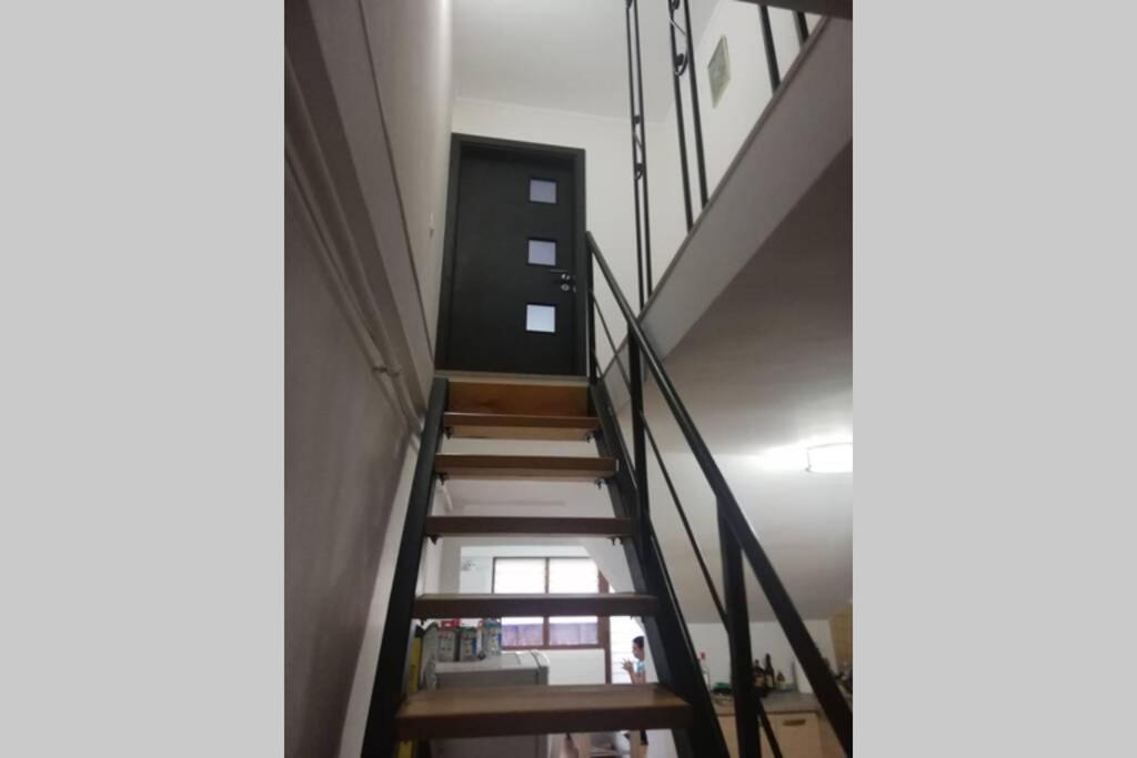 Large Vacation Apartment In Poiana Braşov Dış mekan fotoğraf
