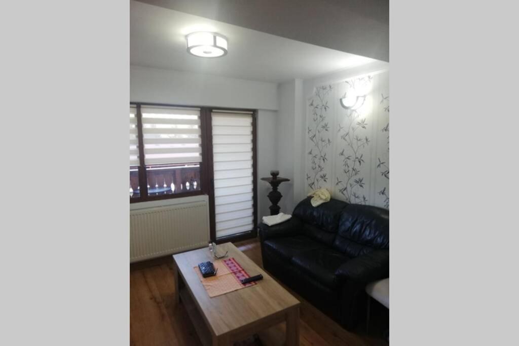 Large Vacation Apartment In Poiana Braşov Dış mekan fotoğraf